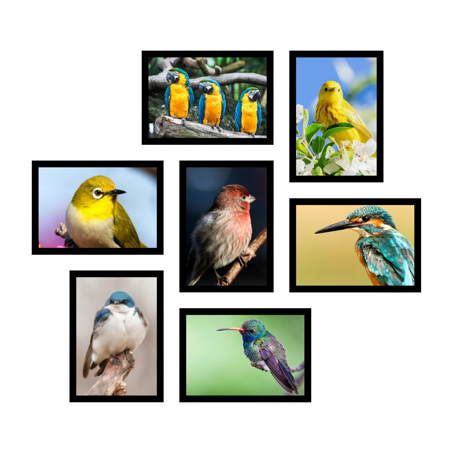 7-Piece Gallery Set