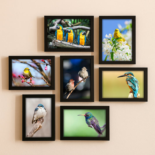 7-Piece Gallery Set