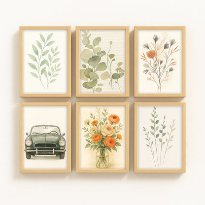 Maple Frame Series - Set of 6